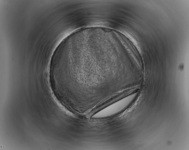 X0000098160949200805011427