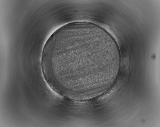 X0000098160951200805011427