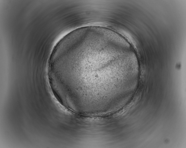X0000098160952200805011427