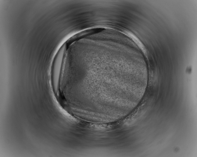X0000098160955200805011427