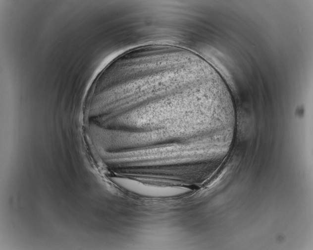 X0000098160956200805011427