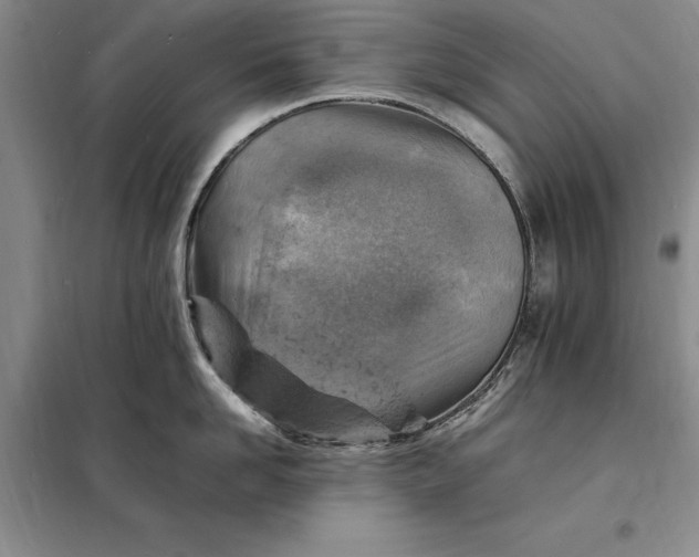 X0000098160958200805011427