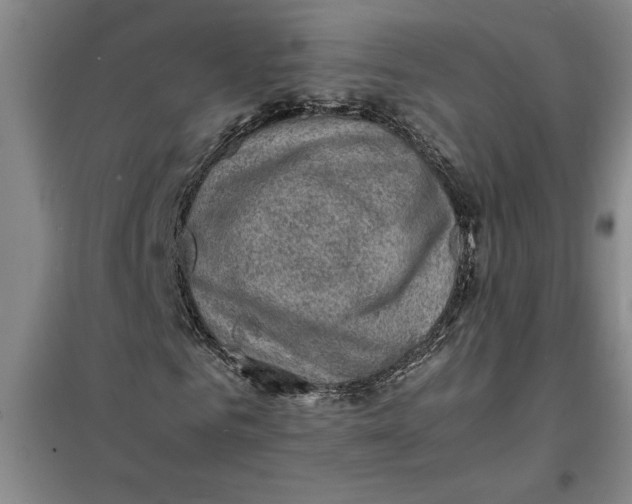 X0000098160961200805011427