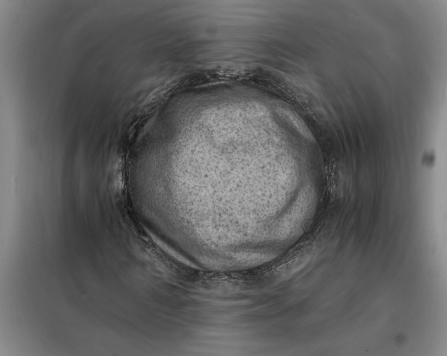 X0000098160962200805011427