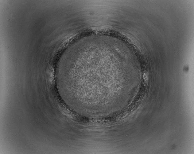 X0000098160963200805011427
