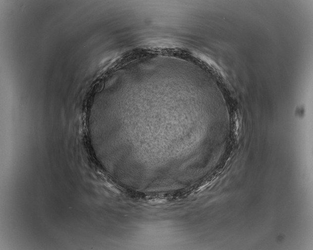X0000098160965200805011427