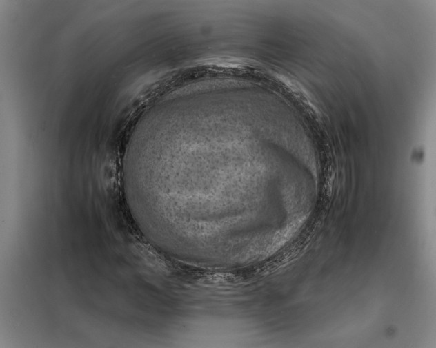 X0000098160966200805011427