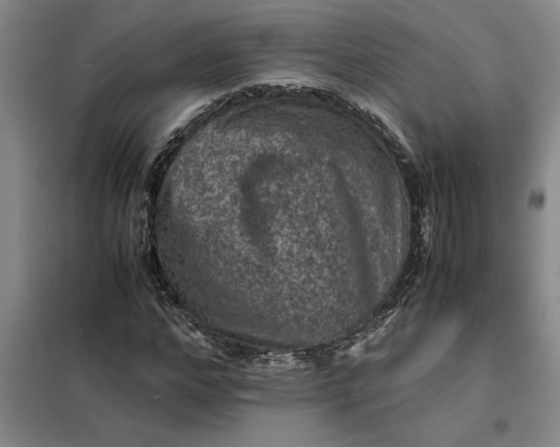 X0000098160968200805011427