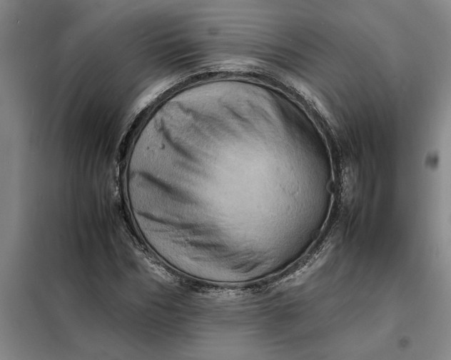 X0000098160970200805011427