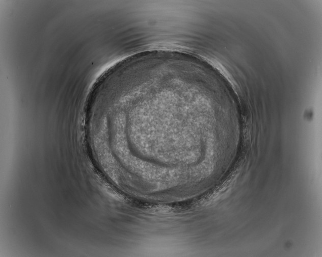 X0000098160971200805011427