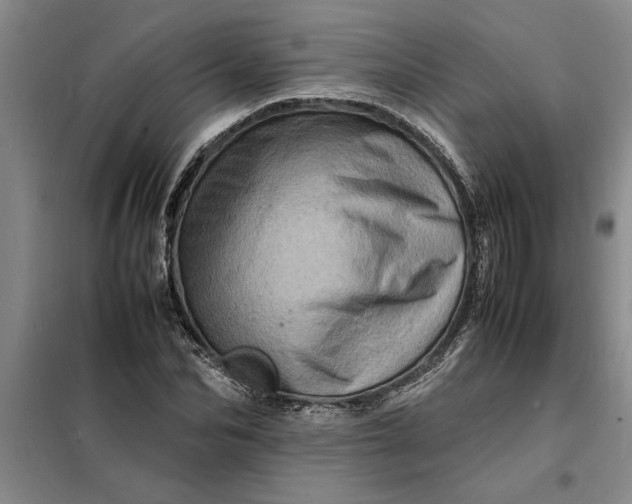 X0000098160974200805011427