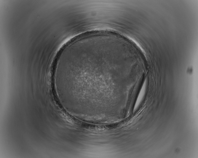 X0000098160975200805011427