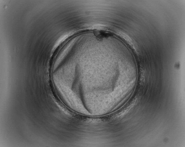 X0000098160978200805011427