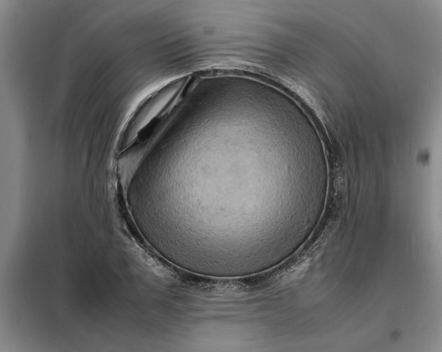 X0000098160979200805011427