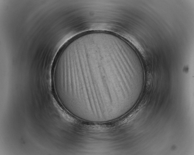 X0000098160980200805011427