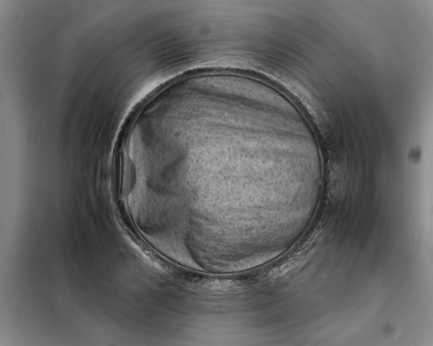 X0000098160982200805011426
