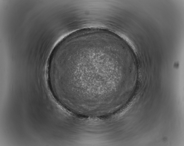 X0000098160983200805011426