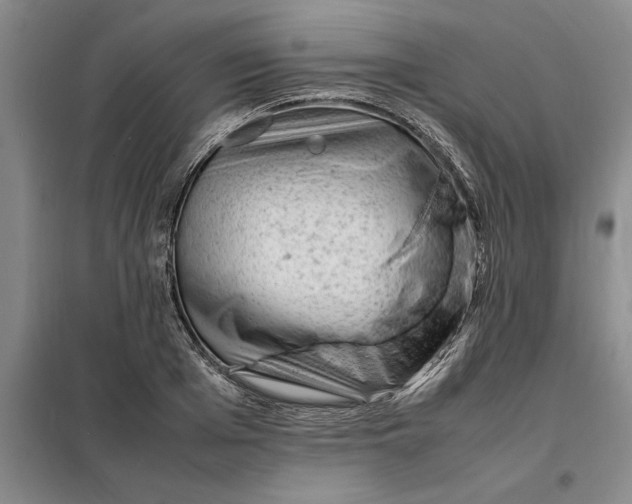 X0000098160985200805011426