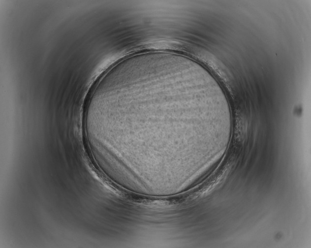 X0000098160986200805011426