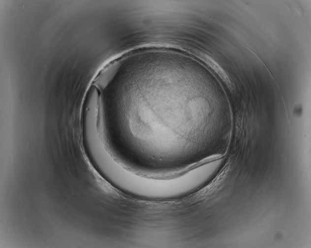 X0000098160988200805011426