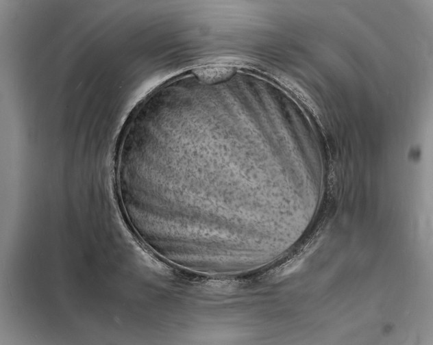 X0000098160989200805011426
