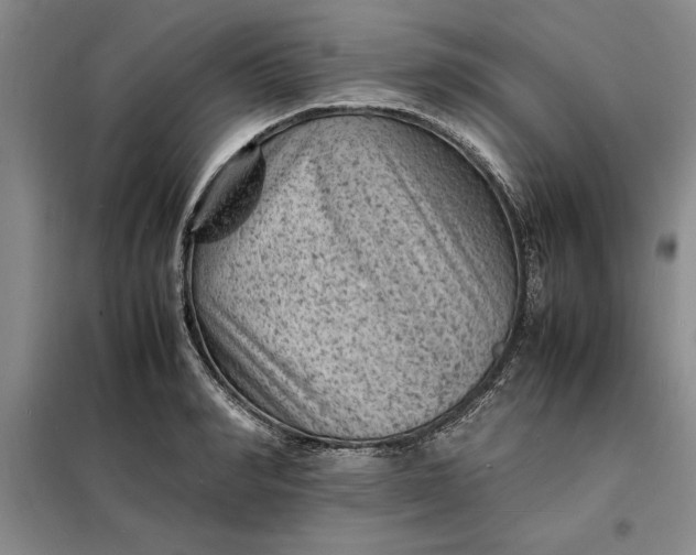 X0000098160990200805011426