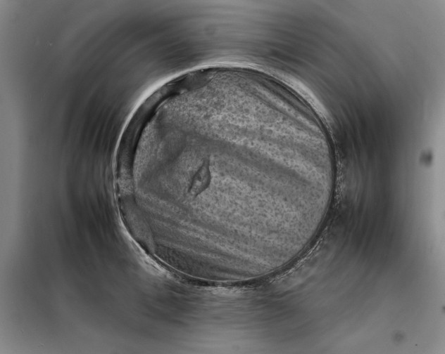 X0000098160996200805011426