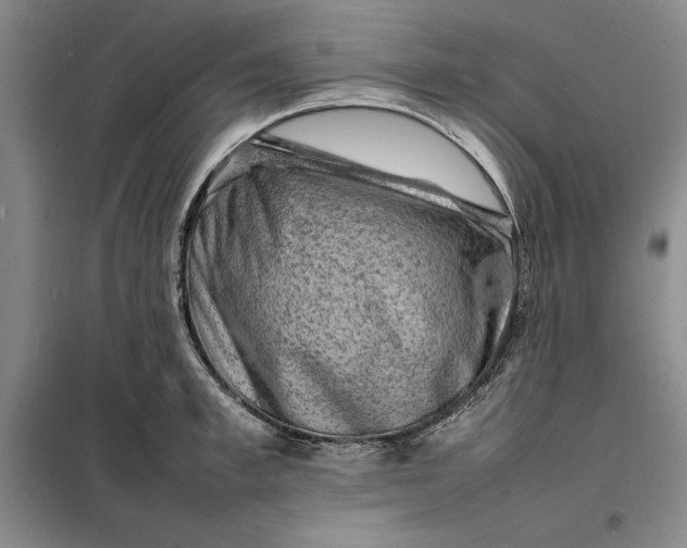 X0000098160997200805011426