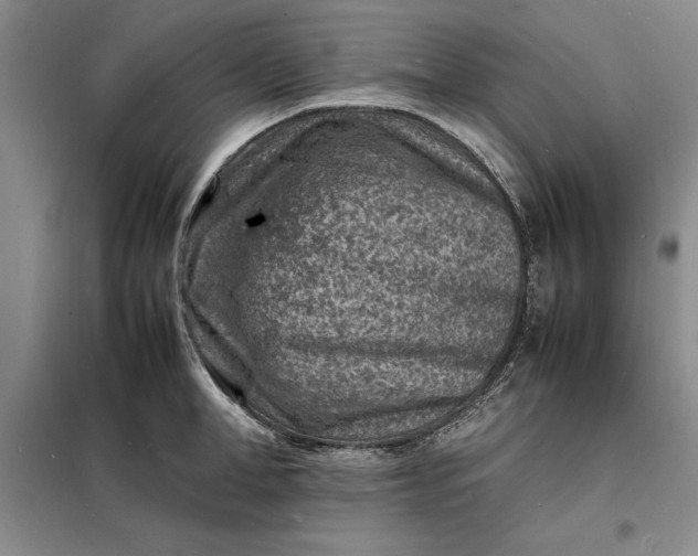 X0000098160998200805011426