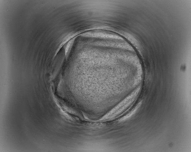 X0000098161001200805011426