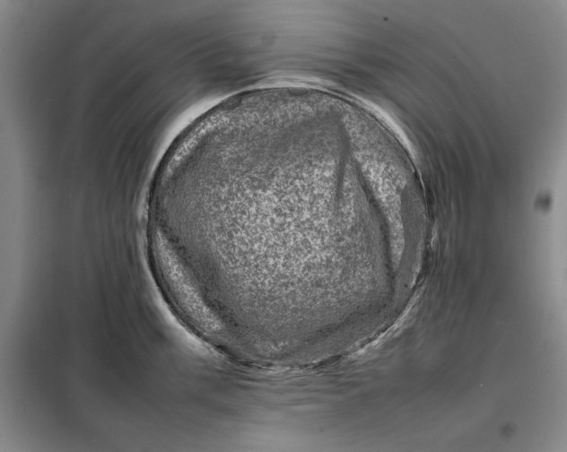 X0000098161003200805011426