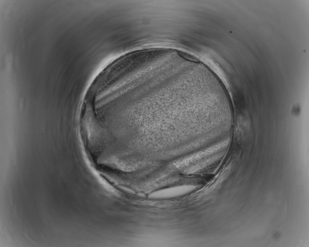 X0000098161005200805011426