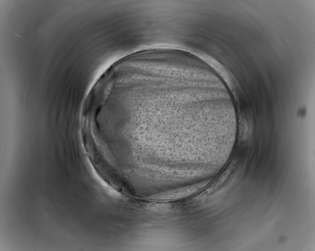 X0000098161006200805011426