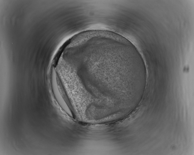 X0000098161008200805011426