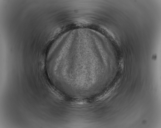 X0000098161012200805011425