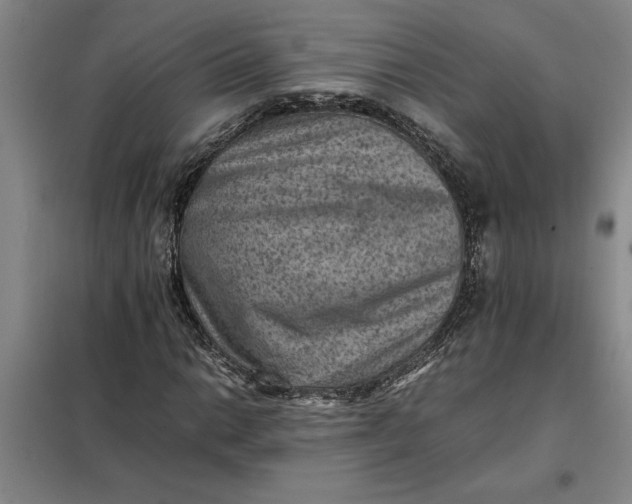 X0000098161014200805011426