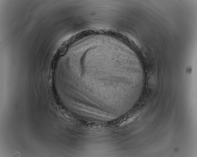 X0000098161016200805011426