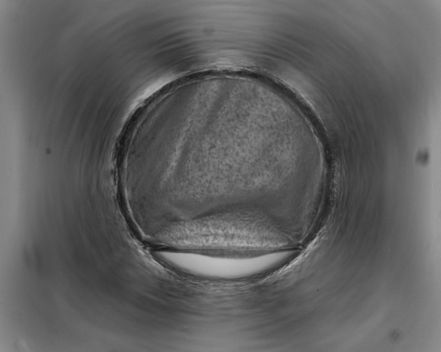 X0000098161018200805011426