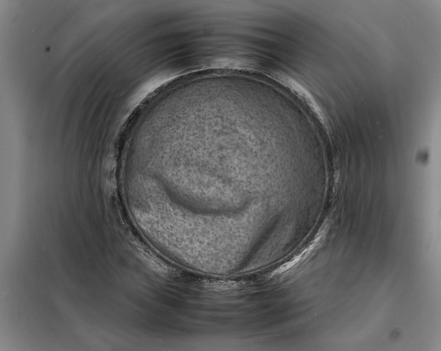 X0000098161019200805011426