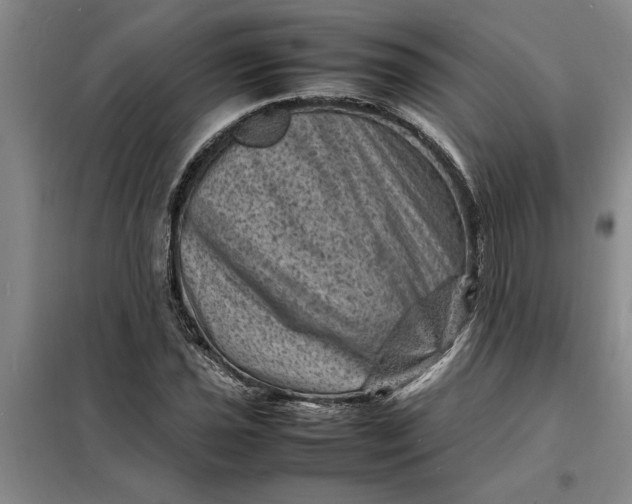 X0000098161021200805011426
