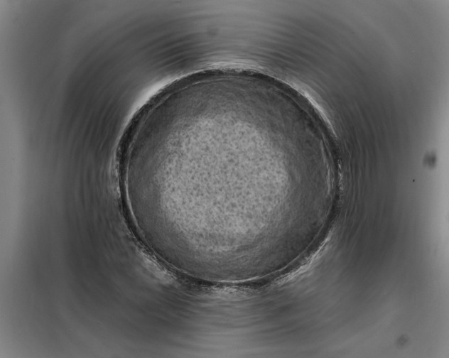 X0000098161022200805011426