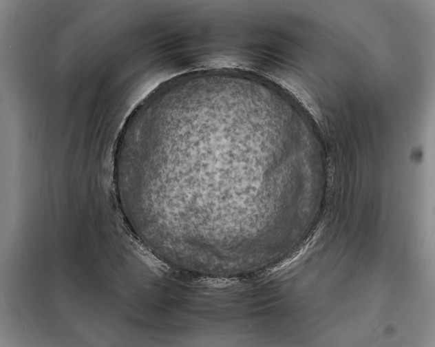 X0000098161023200805011426