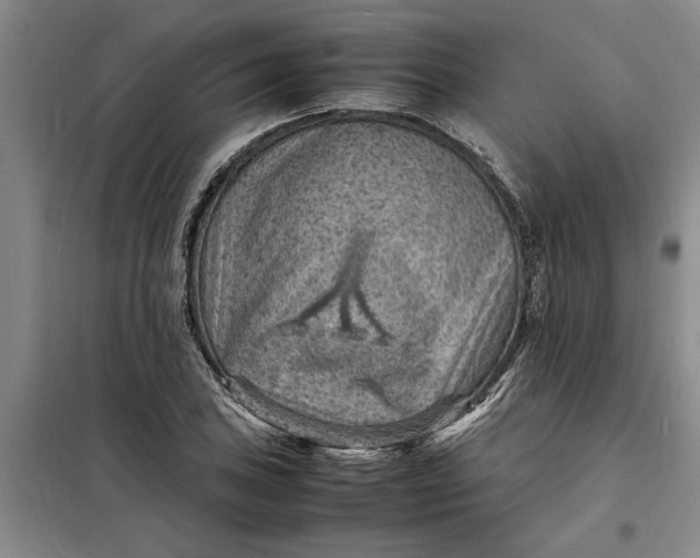X0000098161027200805011426