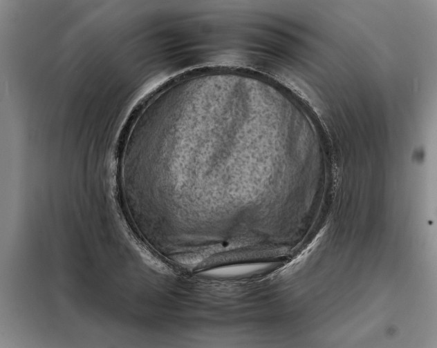 X0000098161029200805011426