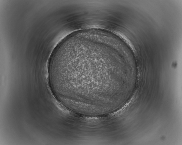 X0000098161031200805011426