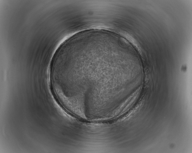 X0000098161032200805011426