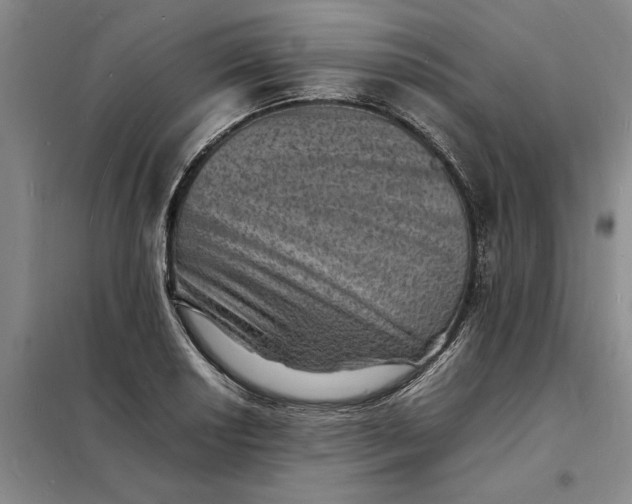 X0000098161034200805011426
