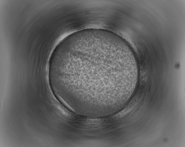 X0000098161035200805011426