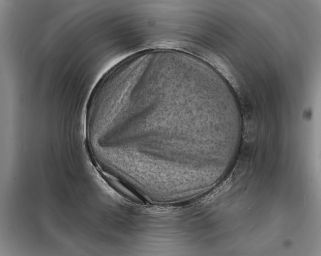 X0000098161036200805011426