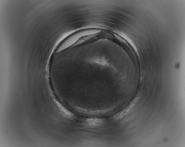 X0000098161037200805011426